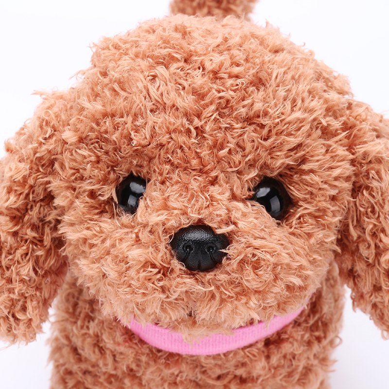 いっしょにあそぼうトイプーララ ぬいぐるみ w17b8b5 Amazon.co.jp: いっしょにあそぼうトイプーララ ぬいぐるみ